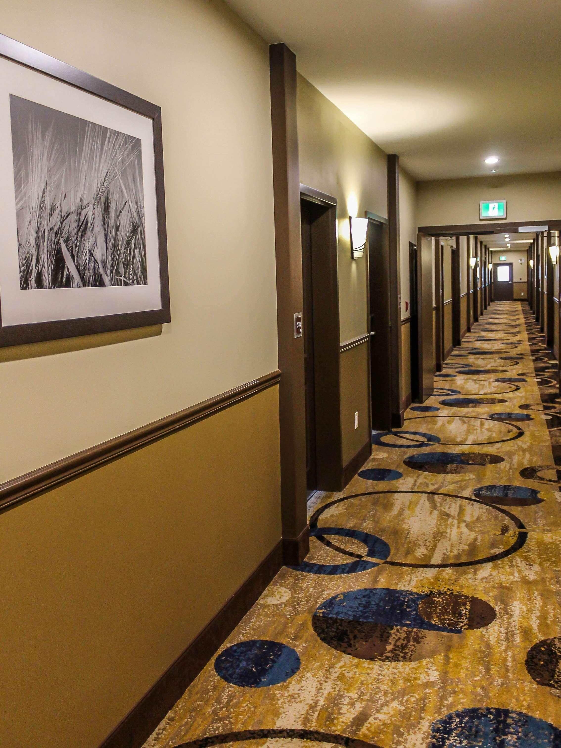 Hotel Western Airport 3*